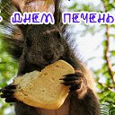 ���� ������, �������, 65 ��� - ��������� 23 ������� 2015 � ������ �������� ��������