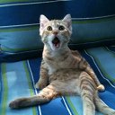 ���� ���� �����, ���������, 43 ���� - ��������� 18 ������ 2015 � ������ ���� ����������