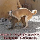 ���� �����, ��������������, 44 ���� - ��������� 13 ������� 2016 � ������ ���� ����������