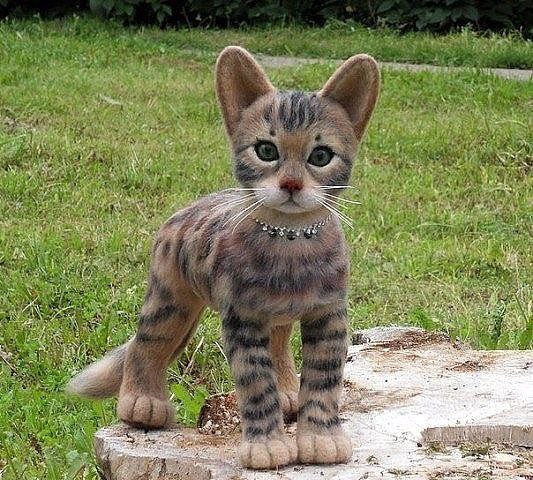  - 5  2015  13:20 - 2