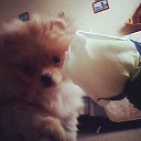 ���� Liksveta, ������, 38 ��� - ��������� 13 ������� 2016 � ������ ������ ��������