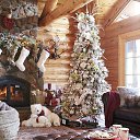 ���� �����, ��������� - ��������� 7 ������ 2016 � ������ ���� ����������