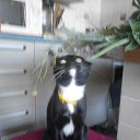 ���� ������, �����������, 55 ��� - ��������� 4 ������� 2015 � ������ ������ ��������