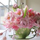 ���� �������, ��������� - ��������� 18 ������� 2016 � ������ ���� ����������