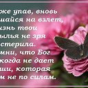 ���� �������, ����� - ��������� 7 ������� 2015 � ������ ���� ����������