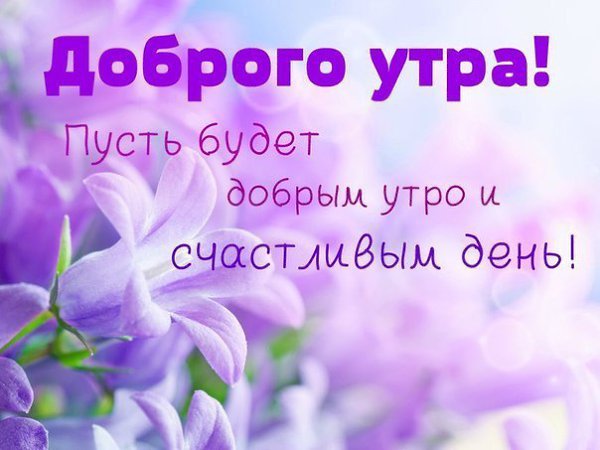 Lara - 9 ����� 2016 � 11:37