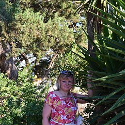 ���� C�������, ������, 53 ���� - ��������� 8 ������� 2016