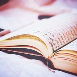 ���� Nazerke, ������, 28 ��� - ��������� 11 ������� 2015