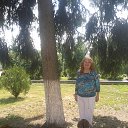 ���� �� ������� ���� ����������