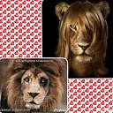 ���� E_lena, ������������, 50 ��� - ��������� 24 ������ 2016 � ������ ������ ��������