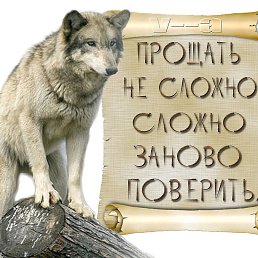 ���� �������, ������ - ��������� 24 ������� 2015