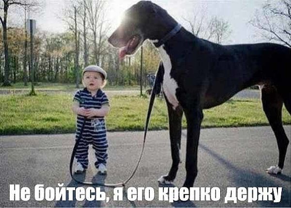   - 7  2016  02:43