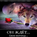 ���� ���������, �������, 61 ��� - ��������� 28 ������ 2016 � ������ ���� ����������
