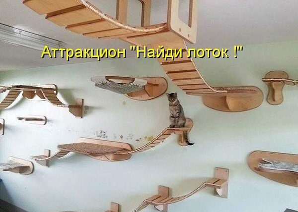 ��� ���� � ����� �� �� - 4 ������� 2015 � 09:33