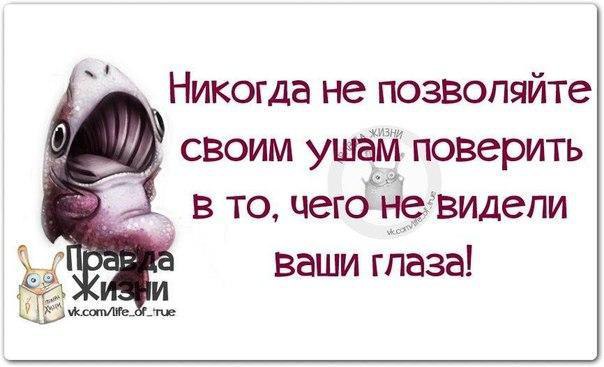   - 3  2015  15:43