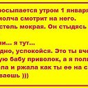 ���� �������������, ������, 56 ��� - ��������� 29 �������� 2015 � ������ ���� ����������