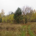 ������� ���. �� ������� ������ ��������