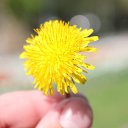 ���� ���������, ��������� - ��������� 7 ������� 2015 � ������ ���� ����������