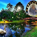 ���� ����, ������, 74 ���� - ��������� 29 ������ 2015 � ������ ������ - ������ �����������