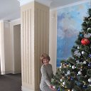  , , 62  -  31  2015    2016 