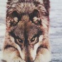���� ������, ������, 46 ��� - ��������� 6 ������� 2015 � ������ ���� ����������