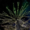 ���� �����, ������ - ��������� 17 ������� 2015 � ������ ����� 2015-16�.�.�