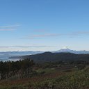 ���� ��������, ������, 38 ��� - ��������� 17 ������� 2015 � ������ ���� ����������