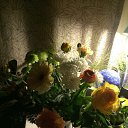 ���� Natalina, ��������, 50 ��� - ��������� 24 ������ 2016 � ������ ������ ��������