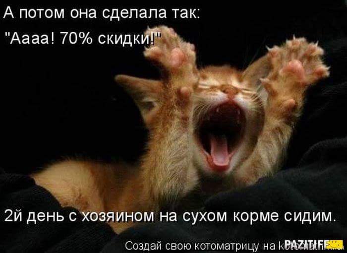 ��� ���� - 10 ������ 2015 � 15:04