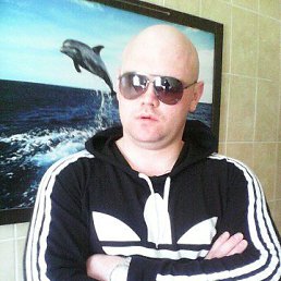 ������, �������, 41 ���