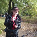 ���� *���������*, ����������� - ��������� 15 ������� 2015 � ������ ���� ����������