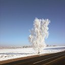  ******, , 53  -  28  2015    