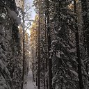 ���� �������, �����-���������, 65 ��� - ��������� 10 ������ 2016 � ������ ���� ����������