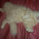 ���� ������, ������, 54 ���� - ��������� 17 ������ 2016 � ������ �������