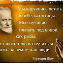 ���� �������, ���� - ��������� 20 ������� 2015 � ������ ���� ����������