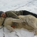 ���� �������, ���������, 50 ��� - ��������� 19 ������� 2015 � ������ ������ ��������