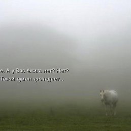 ���������, ������, 53 ����