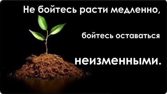 SportFeed - 10  2016  00:55