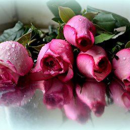 ���� ������, ������, 69 ��� - ��������� 17 ������� 2015