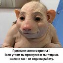 ���� �������, �������, 47 ��� - ��������� 30 ������ 2016 � ������ ������ ��������