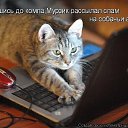 ���� ������, ����������� - ��������� 1 ������� 2015 � ������ ������ ��������