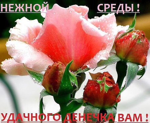 �������� - 25 ������ 2015 � 05:34