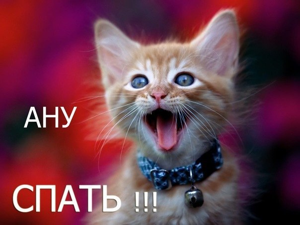 ~Dasha~ - 17  2015  00:59