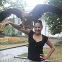 ���� ������ ������, ������, 53 ���� - ��������� 23 ������� 2016 � ������ ���� ����������