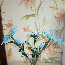 ���� �������, ������, 38 ��� - ��������� 13 ������� 2016 � ������ �����������