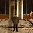 ���� �������, ������, 56 ��� - ��������� 15 ������ 2016