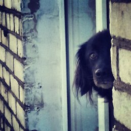 �����, ������, 22 ����