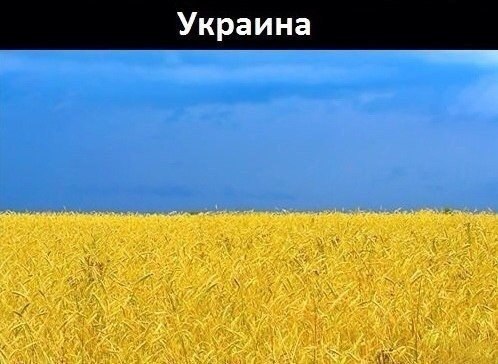     - 8
