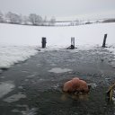 ���� ����, ����� - ��������� 25 ������� 2016 � ������ ���� ����������