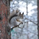 ���� �������, ������, 53 ���� - ��������� 8 ������� 2015 � ������ ������� ������... � �� ������...�